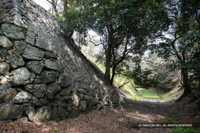 吉田城の石垣と内堀
