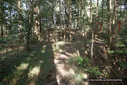 野田城二の丸と本丸土橋