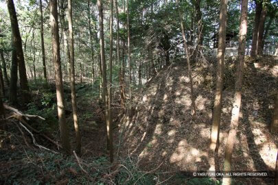 野田城