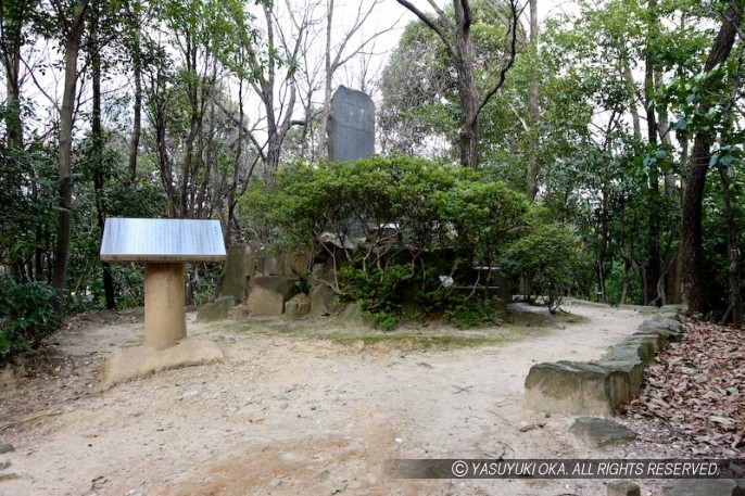 岩崎城・櫓台