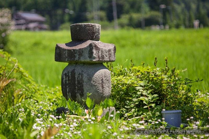 浅井家侍女の墓