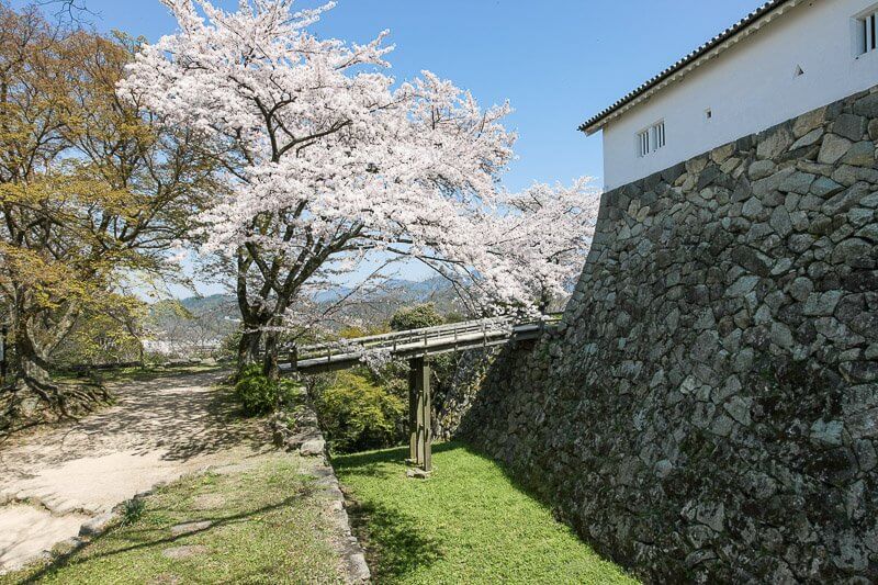彦根城西の丸三重櫓と堀切