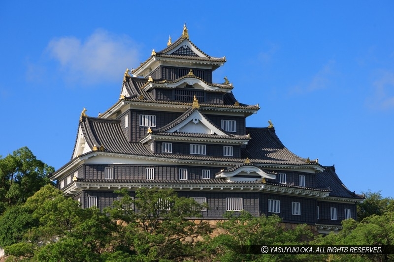 多角形の岡山城天守