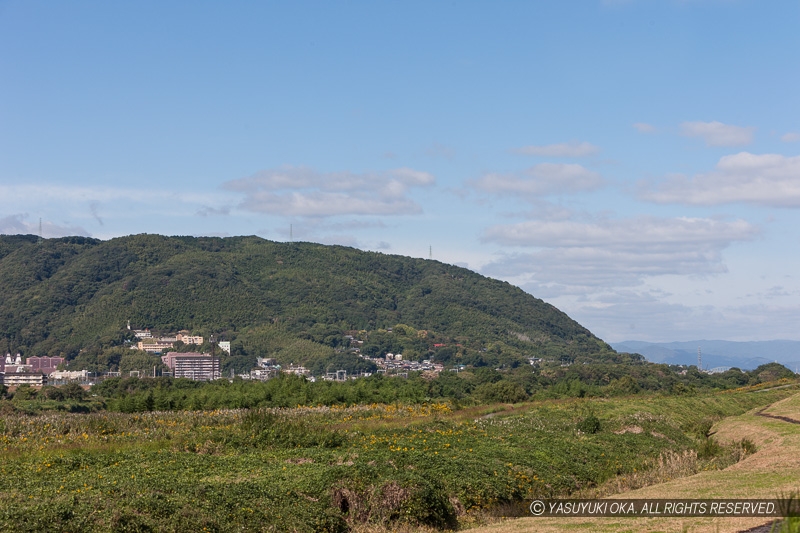 山崎城（天王山城）