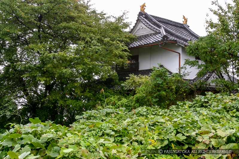 膳所城本丸二層隅櫓・茶臼山公園芭蕉会館