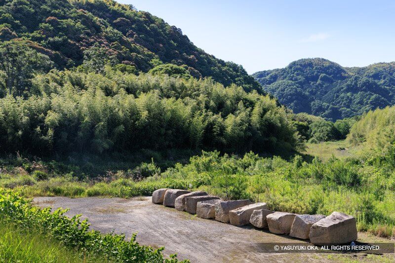 大野山と残念石