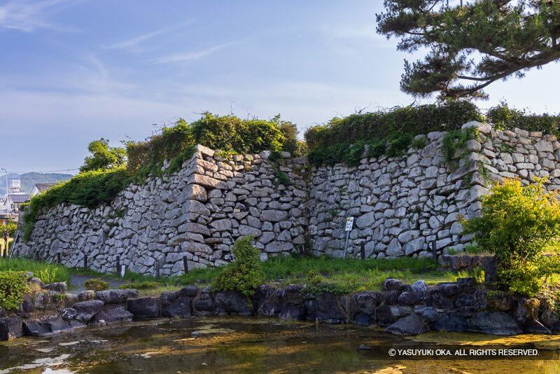 田辺城本丸石垣