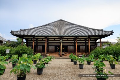 大坂城から奈良へ渡った『蛙石』の数奇な歴史
