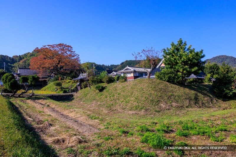 土居の内跡