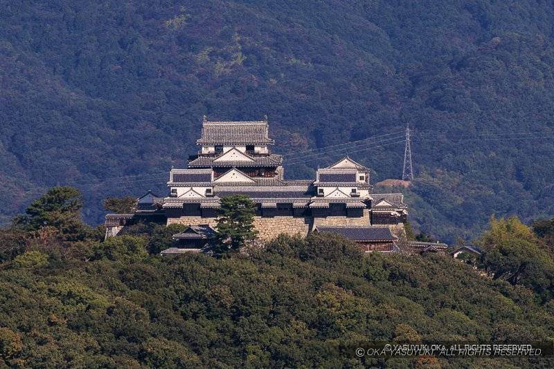 松山総合公園から望む松山城