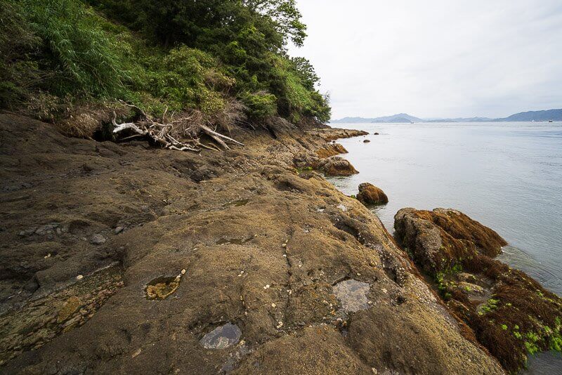 来島城に残る岩礁ピット