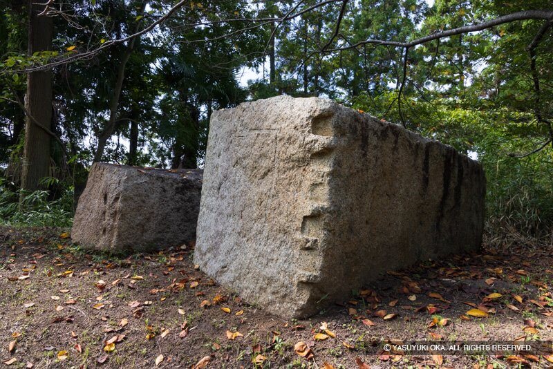 山城郷土資料館の残念石