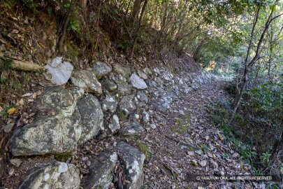 鳥羽山城本丸石垣（腰巻石垣）