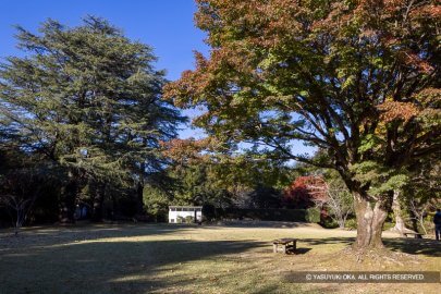 鳥羽山城本丸跡