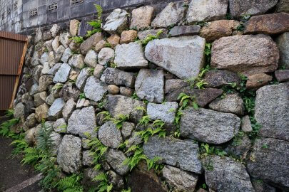 大津城の外堀石垣