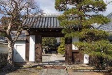 坂本城の表門（聖衆来迎寺）