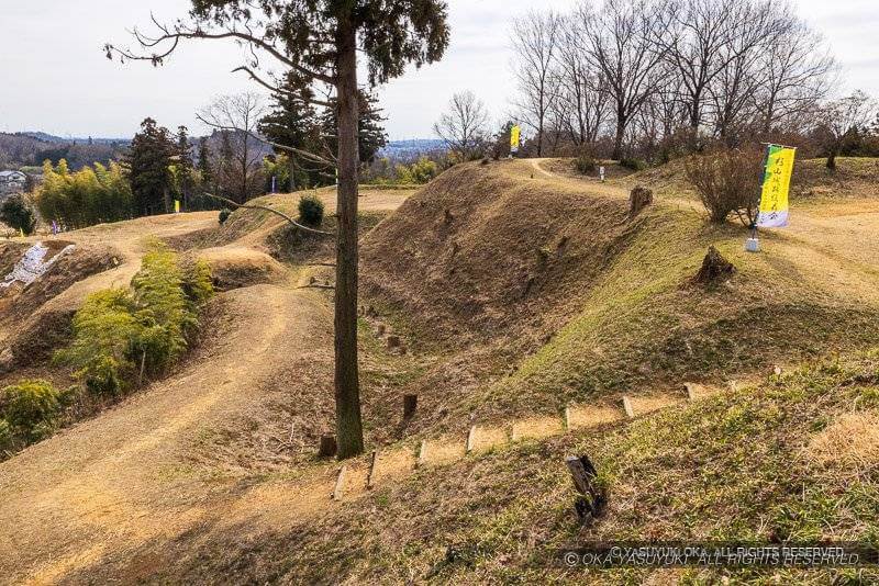 杉山城・本郭より主要部