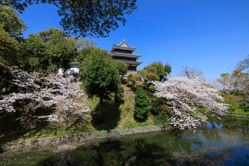 西尾城の歴史と見どころ 美しい写真で巡る - お城めぐりFAN