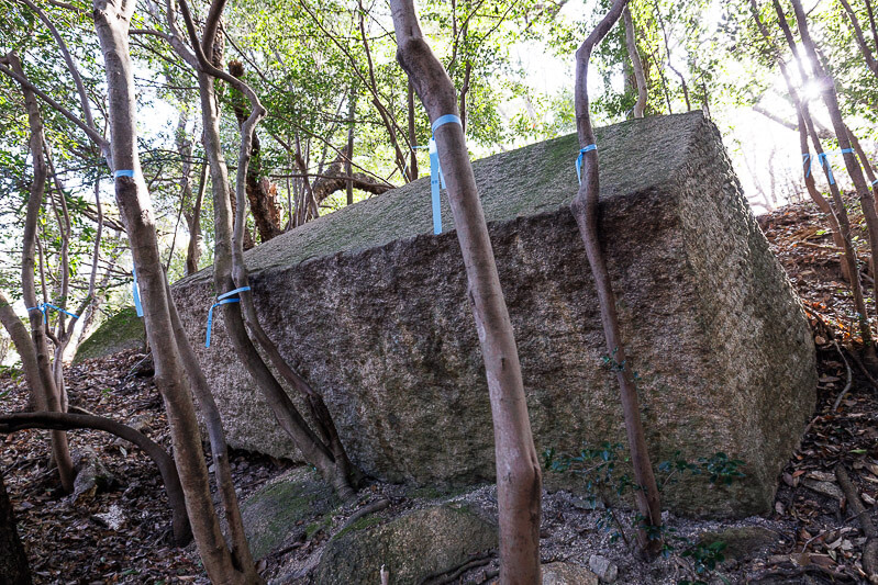 大坂城東六甲石丁場跡　甲山刻印群