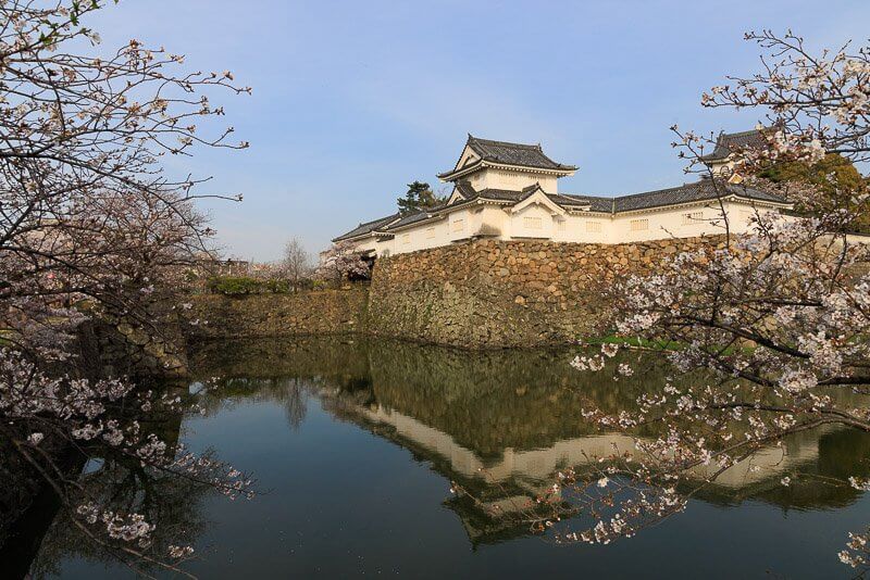 岸和田城本丸土橋と隅櫓