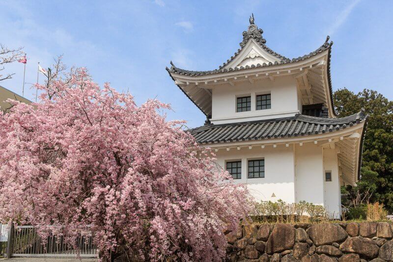 園部城の桜