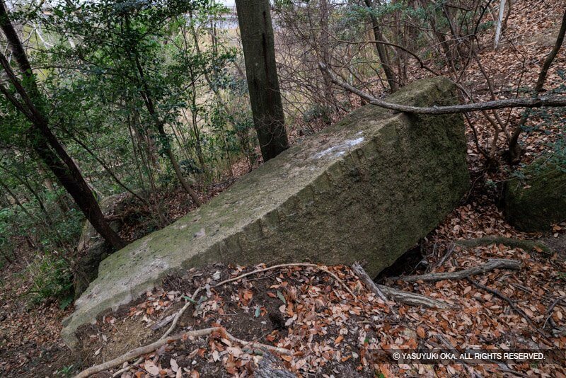 甲山刻印群の整形済みの石