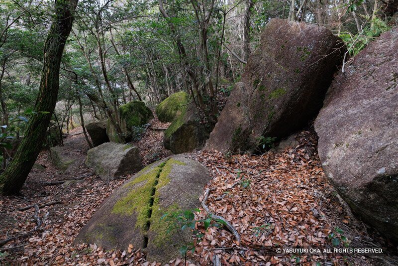 甲山刻印群の石丁場に残る谷筋に集められた石材