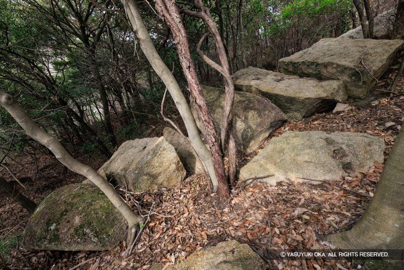 甲山刻印群の整形途中の石材