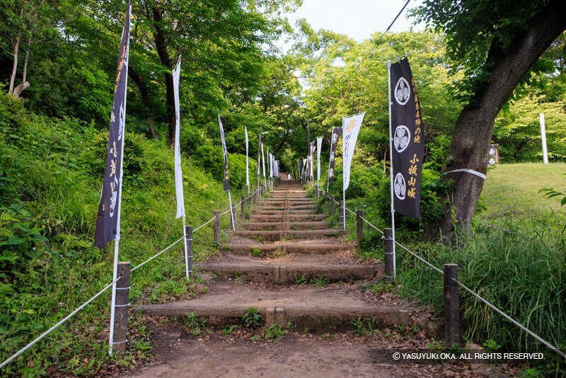 小牧山城の大手道
