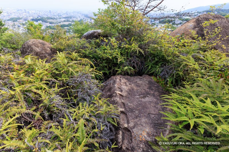 目神山に残る鍋島家刻印石