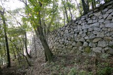 伊予松山城の登り石垣