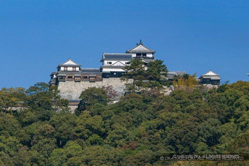 いよてつ髙島屋から望む松山城