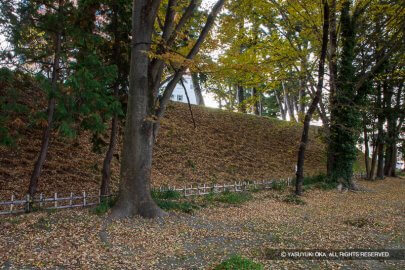 前橋城本丸土塁