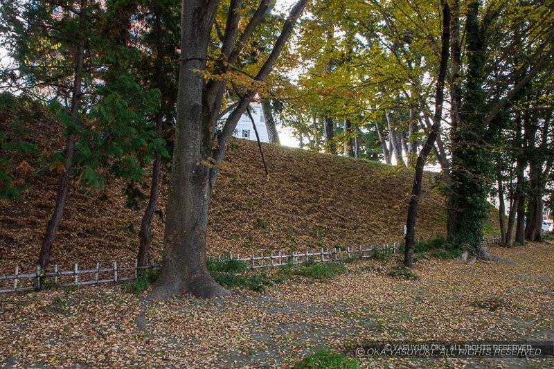 前橋城本丸土塁