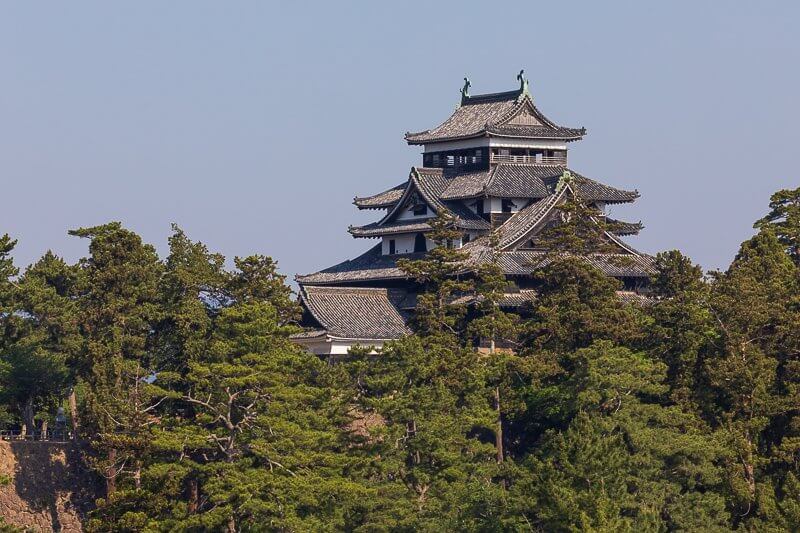 南東から望む松江城天守