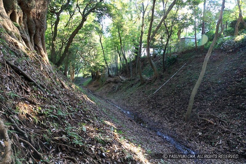 小田原城・小峰の大堀切