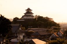 掛川古城（子角山）から望む掛川城