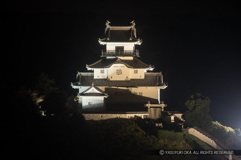 掛川城ライトアップ