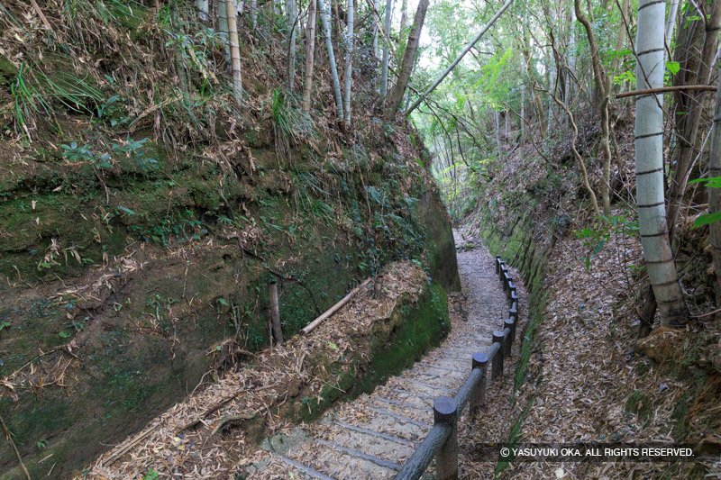 佐土原城の堀切を利用した登城路
