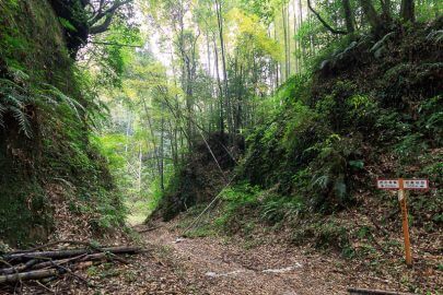 清色城・空堀