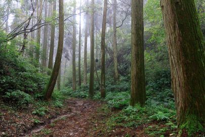 知覧城・空堀