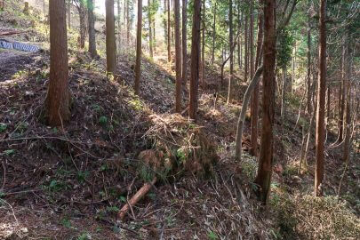 明知城の畝状空堀群