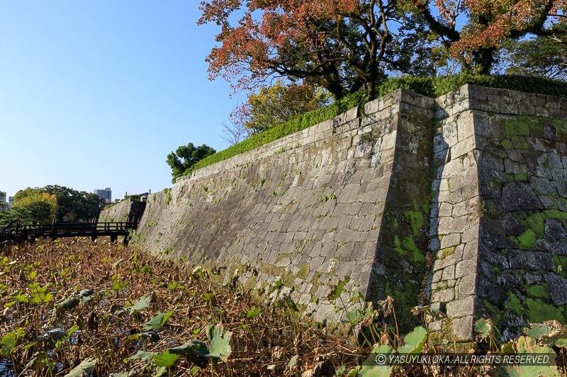 鹿児島城