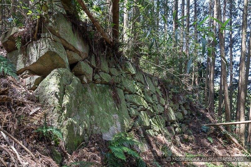 飯盛山城・新発見の石垣（土留め説有り）