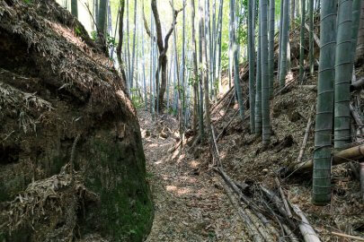 田原城の堀切