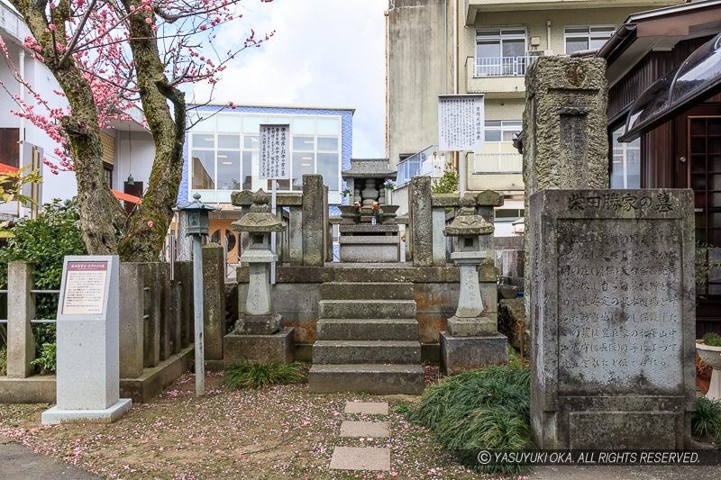 西光寺の柴田勝家・お市の墓