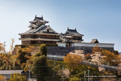 東から見た福知山城本丸