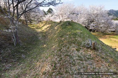 猪崎城主郭北側の空掘と土塁