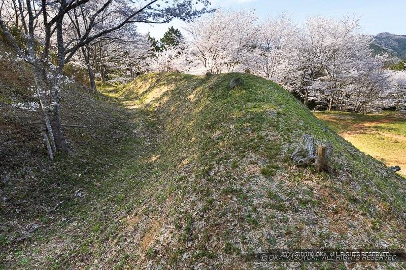 猪崎城主郭北側の空掘と土塁