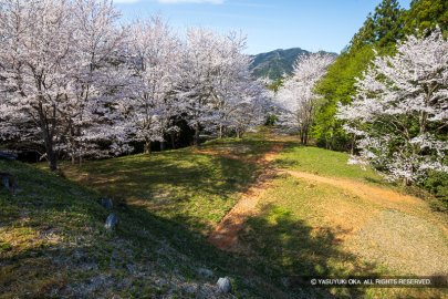 猪崎城主郭北側の段曲輪